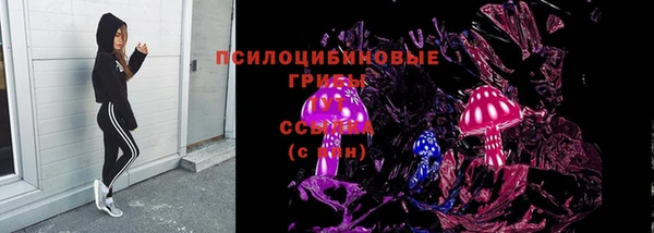 тгк Медногорск