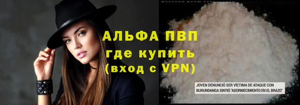 спиды Михайлов